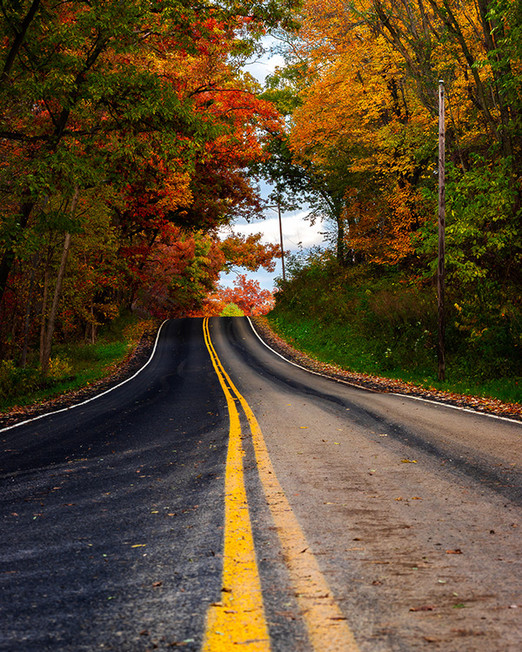 A winding road surrounded by vibrant autumn trees with leaves in shades of orange, red, and yellow.